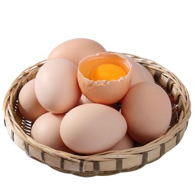 鄱陽(yáng)湖散養(yǎng)粉殼土雞蛋30枚